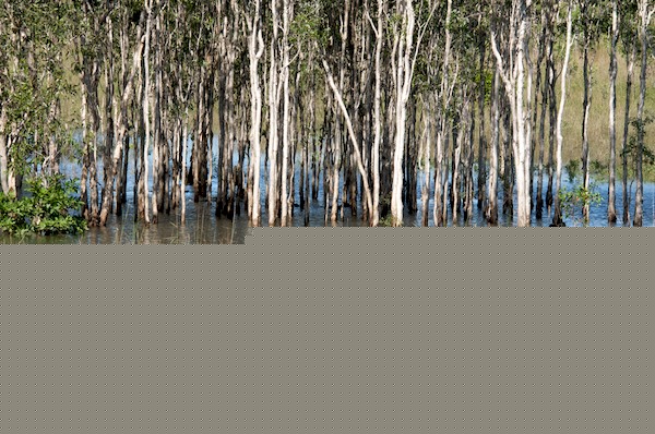 AustraliaAdelaide 10  033